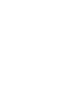 Aliados 593