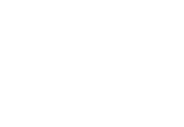 Iconnet