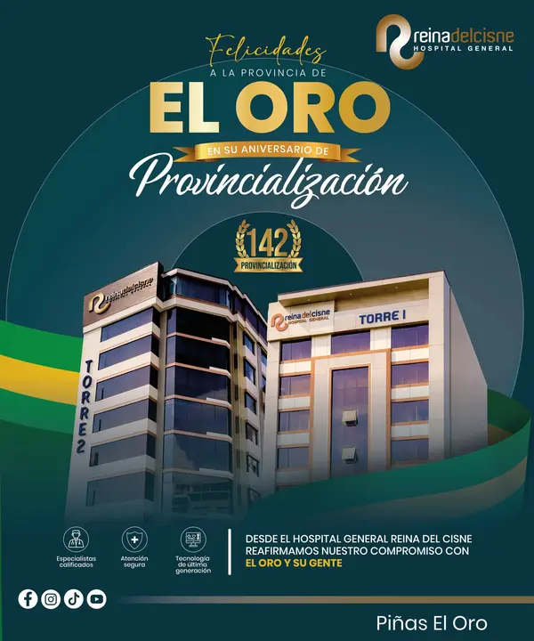Diseño institucional creado para el Hospital Reina del Cisne